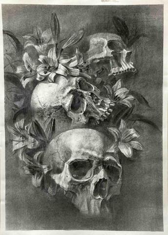 Noina - 素描作品