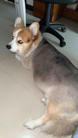 黄淑芬 - 阿吉拍照了呦