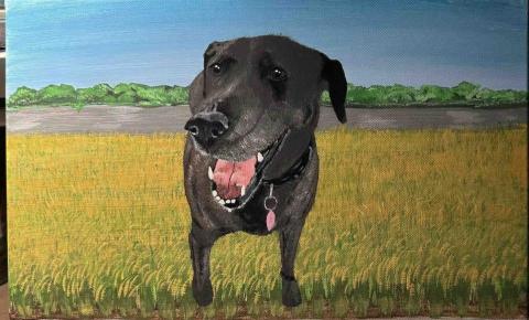 畫布、石頭彩繪(寵物、人物肖像似顏繪) - 