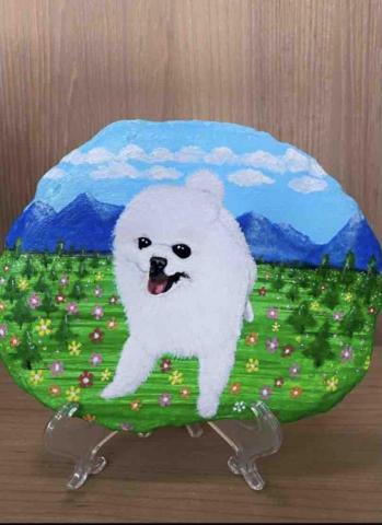 畫布、石頭彩繪(寵物、人物肖像似顏繪) - 石頭彩繪極具紀念、收藏價值，可適應外在環境，防水、防塵不易退色，顏料保固一年。(定價$1,500)