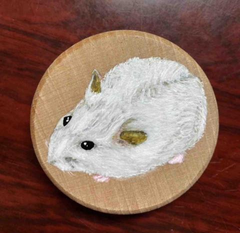 畫布、石頭彩繪(寵物、人物肖像似顏繪) - 