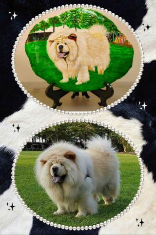 畫布、石頭彩繪(寵物、人物肖像似顏繪) - 左圖為客戶來圖照片，右圖為手繪成品，此幅原圖重現，極具紀念收藏價值。(定價$1,500)