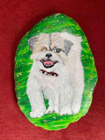 畫布、石頭彩繪(寵物、人物肖像似顏繪) - 石頭彩繪最有特色，極具紀念、收藏價值，可適應外在環境，防水、防塵不易退色，顏料保固一年。(此顆背景較簡單，故定價$800)