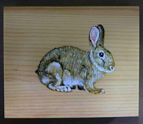 畫布、石頭彩繪(寵物、人物肖像似顏繪) - 