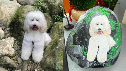 畫布、石頭彩繪(寵物、人物肖像似顏繪) - [原圖重現]左圖為客戶來圖照片，右圖為手繪成品，極具紀念收藏價值。(定價$1,500)