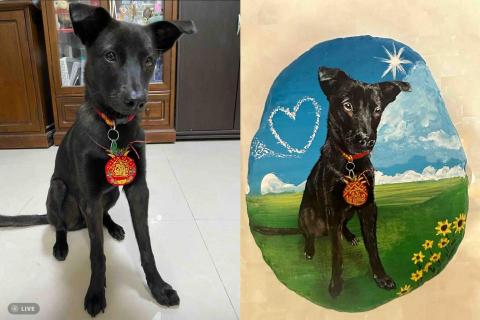 畫布、石頭彩繪(寵物、人物肖像似顏繪) - 左圖為客戶來圖照片，右圖為手繪成品，極具紀念收藏價值。(定價$1,500)