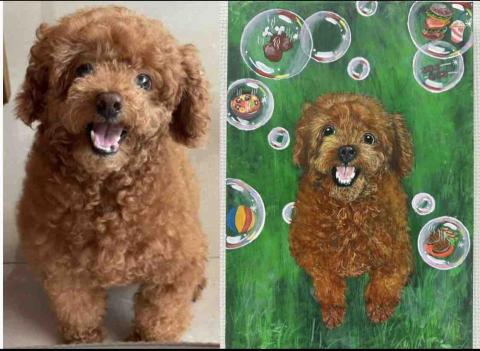 畫布、石頭彩繪(寵物、人物肖像似顏繪) - 此幅為5號油畫布，尺吋35x24cm,售價$2100。(壓克力彩)