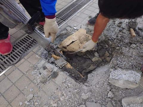 呂俊儀 - 打除深度探測