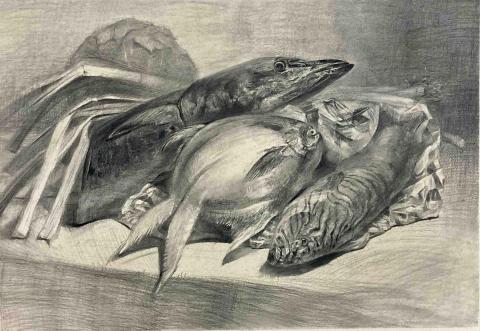 Noina - 素描靜物