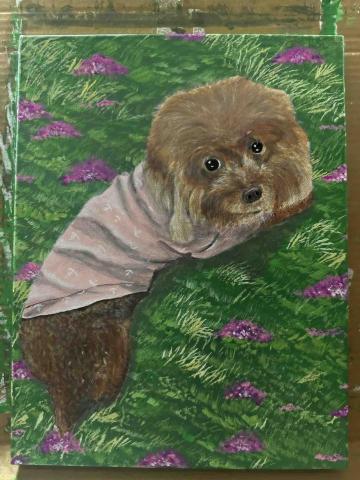 畫布、石頭彩繪(寵物、人物肖像似顏繪) - 