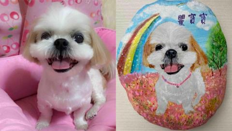 畫布、石頭彩繪(寵物、人物肖像似顏繪) - 左圖為客戶來圖照片，右圖為手繪成品，極具紀念收藏價值。(定價$1,500)