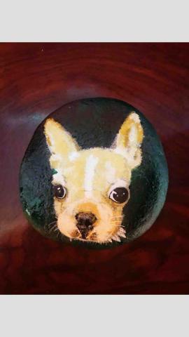 畫布、石頭彩繪(寵物、人物肖像似顏繪) - 寵物肖像石頭彩繪具有紀念及收藏價值。(定價$800)