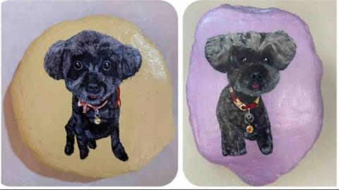 畫布、石頭彩繪(寵物、人物肖像似顏繪) - 