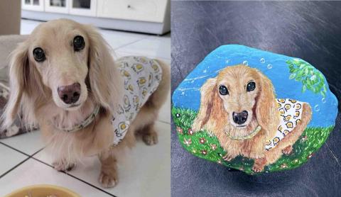 畫布、石頭彩繪(寵物、人物肖像似顏繪) - 左圖為客戶來圖照片，右圖為手繪成品，極具紀念收藏價值。(定價$1,500)