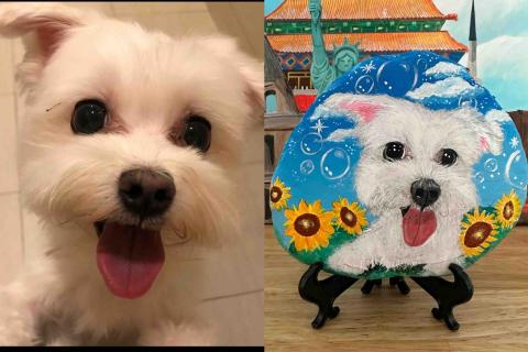 畫布、石頭彩繪(寵物、人物肖像似顏繪) - 左圖為客戶來圖照片，右圖為手繪成品，極具紀念收藏價值。(定價$1,500)