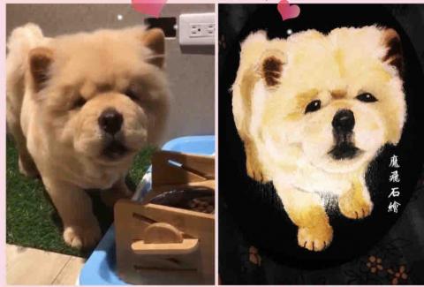 畫布、石頭彩繪(寵物、人物肖像似顏繪) - 此為練習用，神韻有抓到。