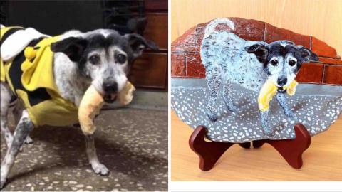 畫布、石頭彩繪(寵物、人物肖像似顏繪) - 左圖為客戶來圖照片，希望原圖重現完整入畫，右圖為手繪成品，極具紀念收藏價值。訂價$1,500元。