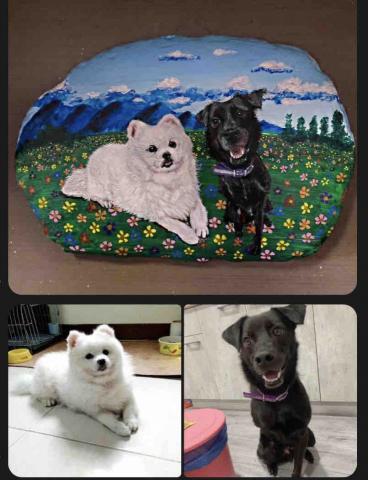 畫布、石頭彩繪(寵物、人物肖像似顏繪) - 左圖為客戶來圖照片，右圖為手繪成品，極具紀念收藏價值。(一圖加一隻加價300元，定價$1,800)