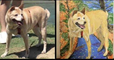 畫布、石頭彩繪(寵物、人物肖像似顏繪) - 此幅為8號油畫布，尺吋45x33cm，售價$2500。