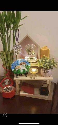 畫布、石頭彩繪(寵物、人物肖像似顏繪) - 客戶收到作品後傳來的，客廳擺飾。