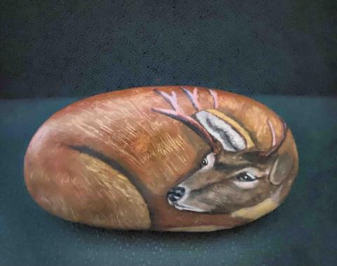 畫布、石頭彩繪(寵物、人物肖像似顏繪) - 此整顆彩繪報價$800～1,000元。(可議價)