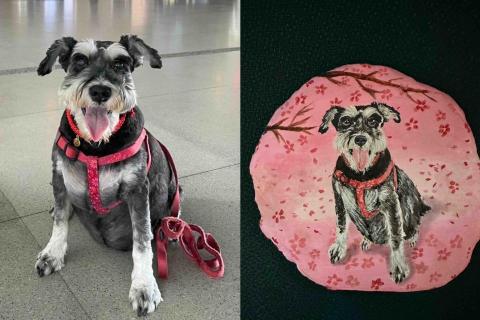 畫布、石頭彩繪(寵物、人物肖像似顏繪) - 左圖為客戶來圖照片，右圖為手繪成品，極具紀念收藏價值。(定價$1,500)