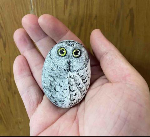 畫布、石頭彩繪(寵物、人物肖像似顏繪) - 