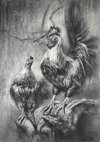 Noina - 素描作品