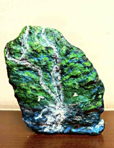 畫布、石頭彩繪(寵物、人物肖像似顏繪) - 