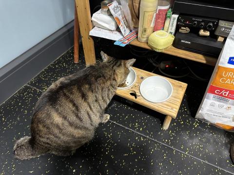 肌進份子訓練基地 - 