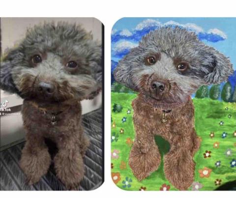 畫布、石頭彩繪(寵物、人物肖像似顏繪) - 石頭彩繪具有特色及紀念價值，此顆定價$1,500。