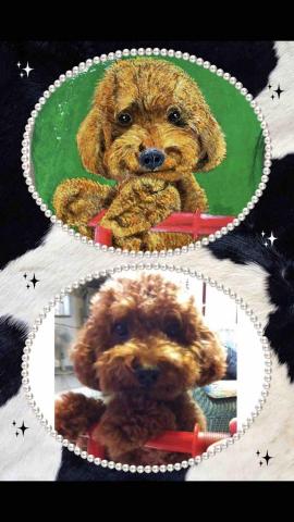 畫布、石頭彩繪(寵物、人物肖像似顏繪) - 此幅價格800元，因背景較簡單，塗上保護顏料的光油乾燥後大約一天即可出貨。