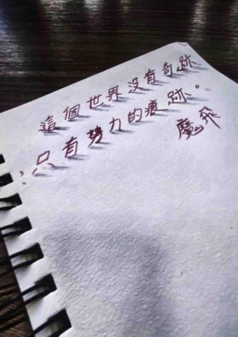 畫布、石頭彩繪(寵物、人物肖像似顏繪) - 