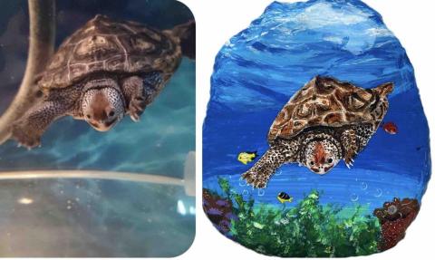 畫布、石頭彩繪(寵物、人物肖像似顏繪) - 此幅為飼主家裡養的寵物龜，已當小天使了，飼主希望祂暢遊大海，請我幫她畫這幅作品送給她男朋友收藏紀念。此顆售價$1500元。