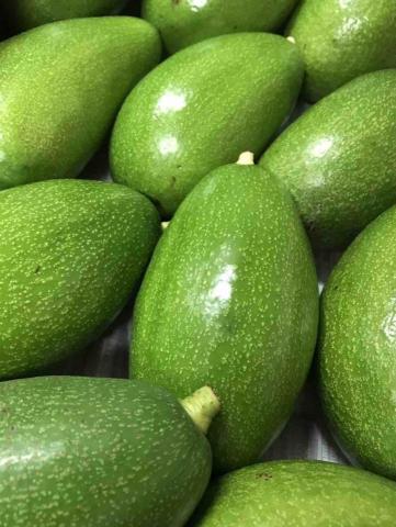 小麥麥水果行 - 95變色酪梨