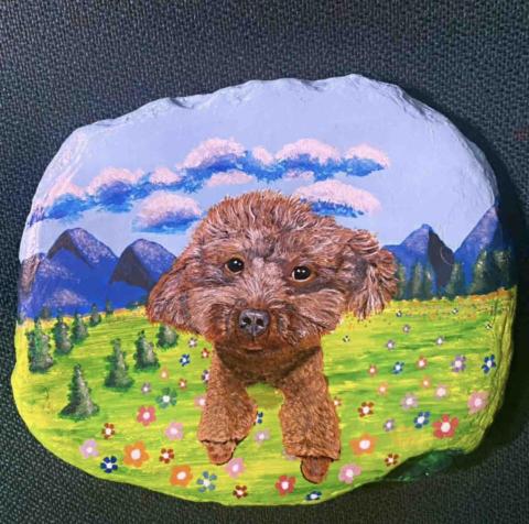 畫布、石頭彩繪(寵物、人物肖像似顏繪) - 