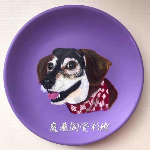 畫布、石頭彩繪(寵物、人物肖像似顏繪) - 練習手感用。