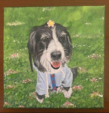 畫布、石頭彩繪(寵物、人物肖像似顏繪) - 