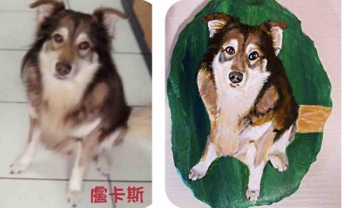 畫布、石頭彩繪(寵物、人物肖像似顏繪) - 左圖為客戶來圖照片，右圖為手繪成品，極具紀念收藏價值。(定價$1,500)