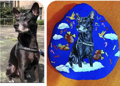 畫布、石頭彩繪(寵物、人物肖像似顏繪) - 客戶說明希望毛孩在天堂一樣有吃有玩入畫，左圖為客戶來圖照片，右圖為手繪成品，極具紀念、收藏意義。(定價$1,500)