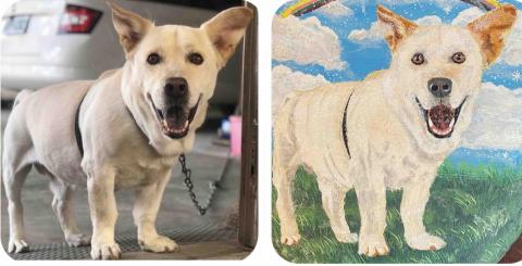 畫布、石頭彩繪(寵物、人物肖像似顏繪) - 左圖為客戶來圖照片，右圖為手繪成品，極具紀念收藏價值。(定價$1,500)