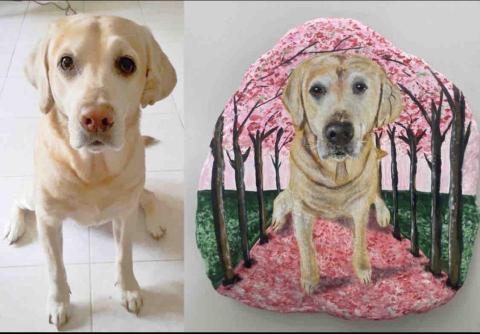 畫布、石頭彩繪(寵物、人物肖像似顏繪) - 左圖為客戶來圖照片，右圖為手繪成品，極具紀念收藏價值。(定價$1,500)