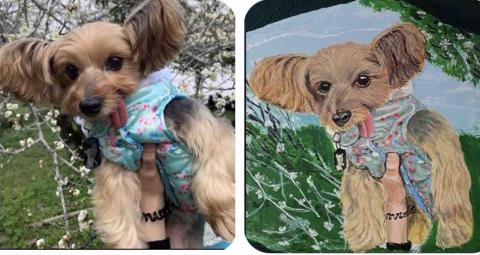 畫布、石頭彩繪(寵物、人物肖像似顏繪) - 左圖為客戶來圖照片，右圖為手繪成品，極具紀念收藏價值。(定價$1,500)