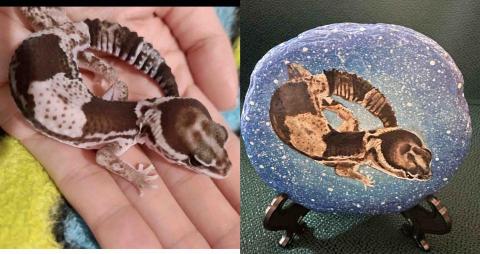 畫布、石頭彩繪(寵物、人物肖像似顏繪) - 客戶說這個種類是守宮，左圖為來圖照片，右圖為手繪成品，極具紀念收藏價值。(定價$1,500)