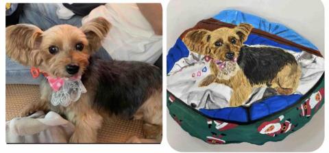 畫布、石頭彩繪(寵物、人物肖像似顏繪) - 飼主傳來的毛孩還有祂慣用的狗窩照片，希望能一併入畫，右圖為手繪完成作品，極具收藏、紀念價值。訂價$1,500。