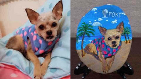 畫布、石頭彩繪(寵物、人物肖像似顏繪) - 左圖為客戶來圖照片，右圖為手繪成品，極具紀念收藏價值。(定價$1,500)