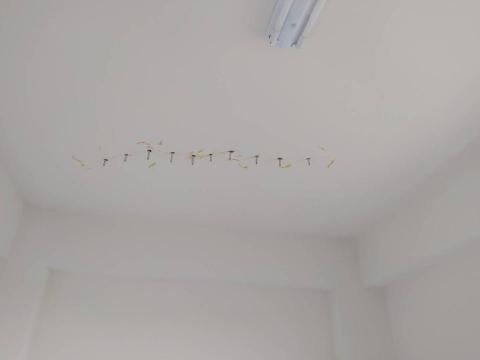 劉健智(吉屋防水工程) - 