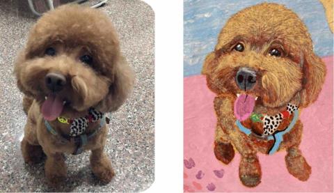 畫布、石頭彩繪(寵物、人物肖像似顏繪) - 左圖為客戶來圖照片，右圖為手繪成品，極具紀念收藏價值。(定價$1,500)