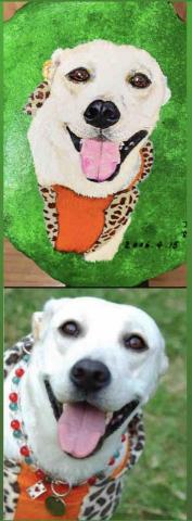 畫布、石頭彩繪(寵物、人物肖像似顏繪) - 極具紀念收藏價值。(此幅背景較簡單，定價$800)