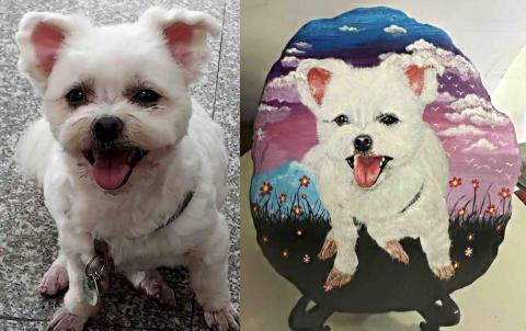 畫布、石頭彩繪(寵物、人物肖像似顏繪) - 左圖為客戶來圖照片，右圖為手繪成品，極具紀念收藏價值。(定價$1,500)